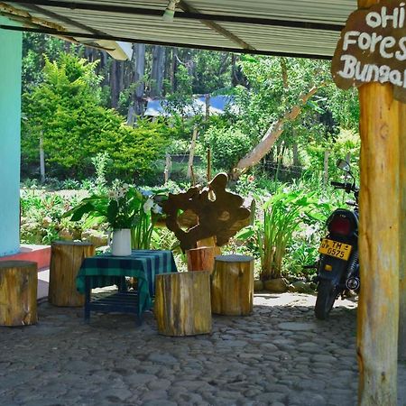 Ohiya Forest Lodge מראה חיצוני תמונה