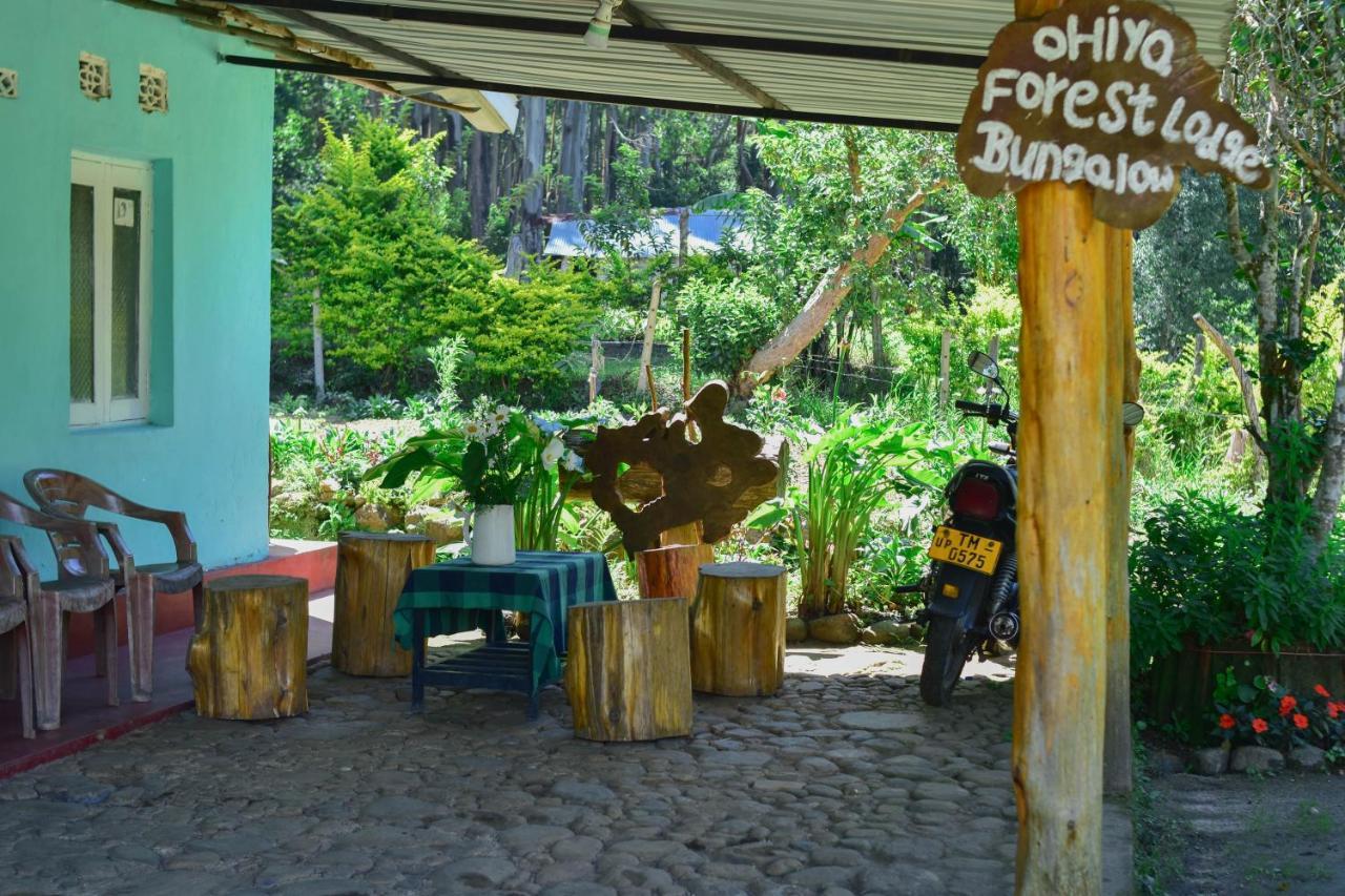 Ohiya Forest Lodge מראה חיצוני תמונה