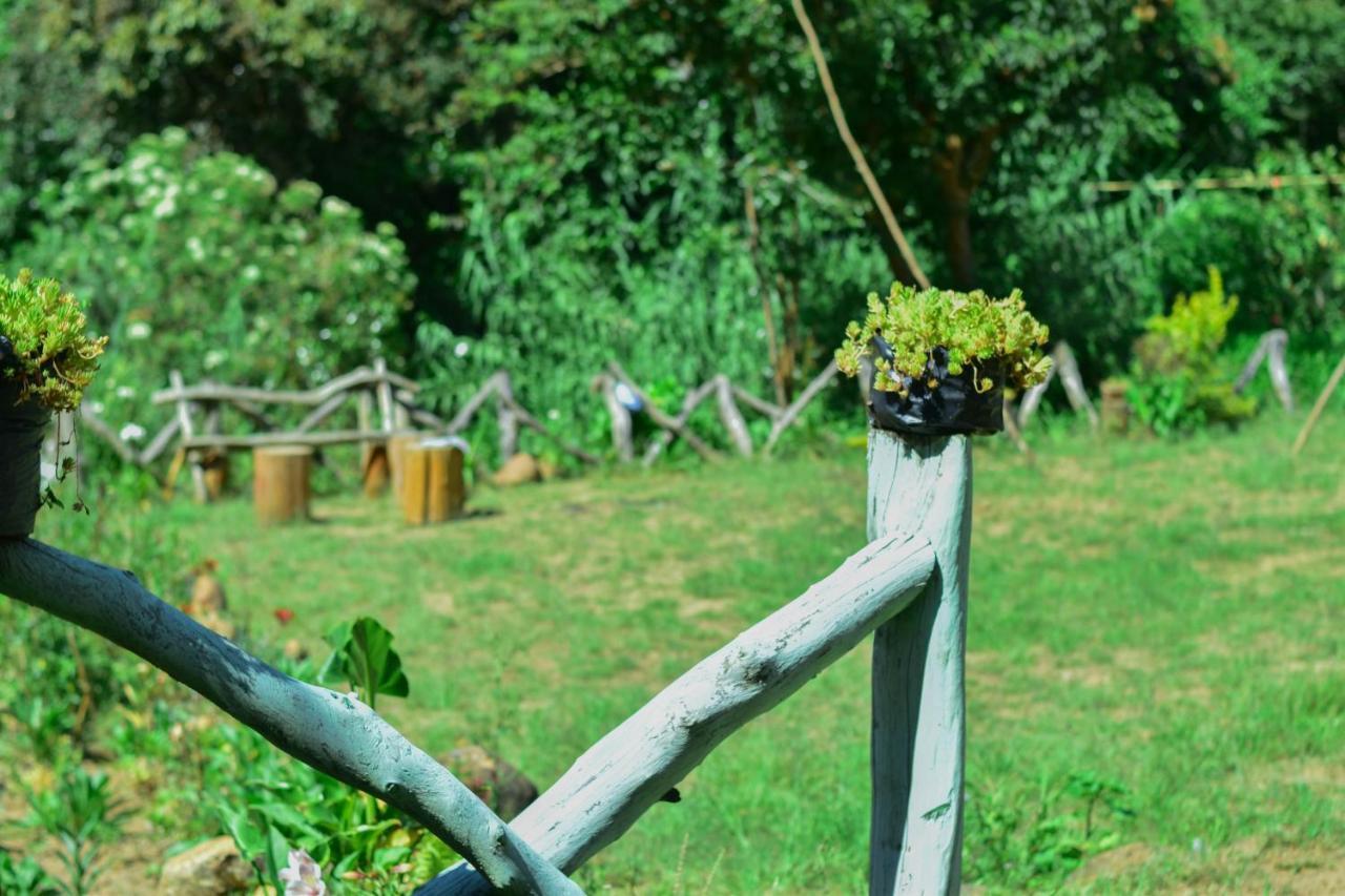 Ohiya Forest Lodge מראה חיצוני תמונה