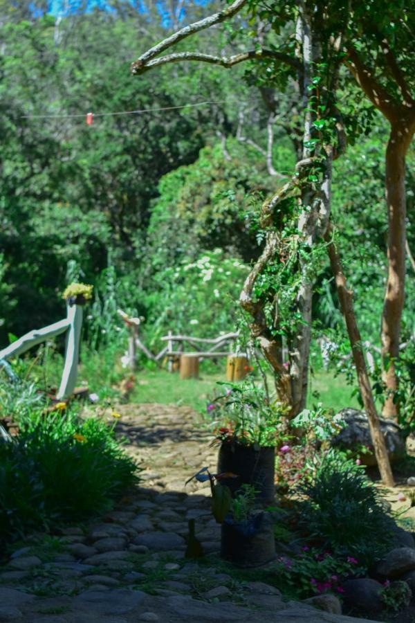 Ohiya Forest Lodge מראה חיצוני תמונה