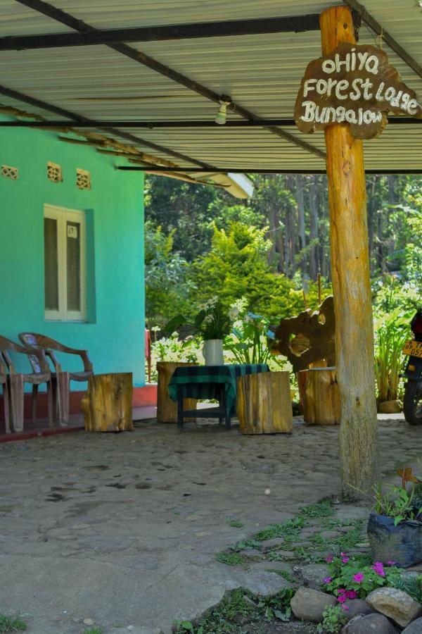 Ohiya Forest Lodge מראה חיצוני תמונה
