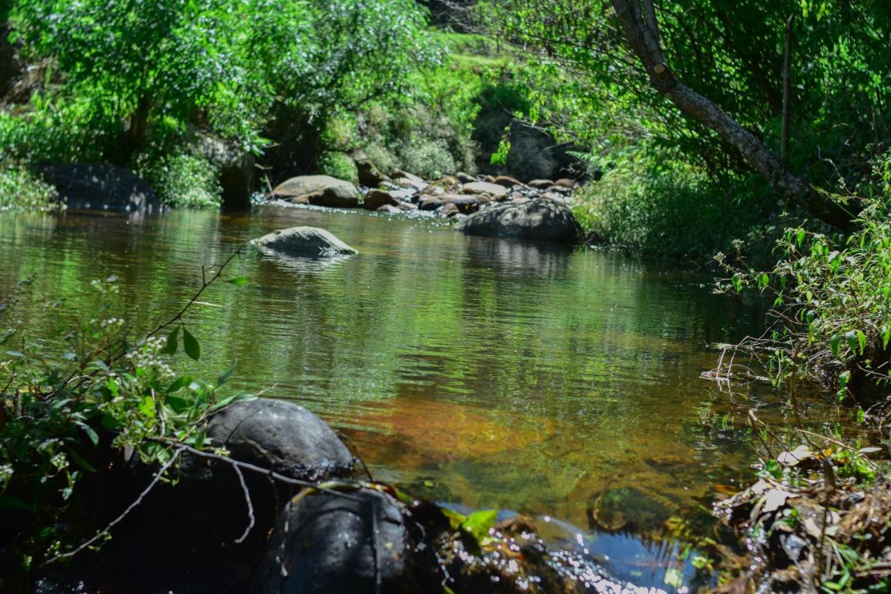 Ohiya Forest Lodge מראה חיצוני תמונה