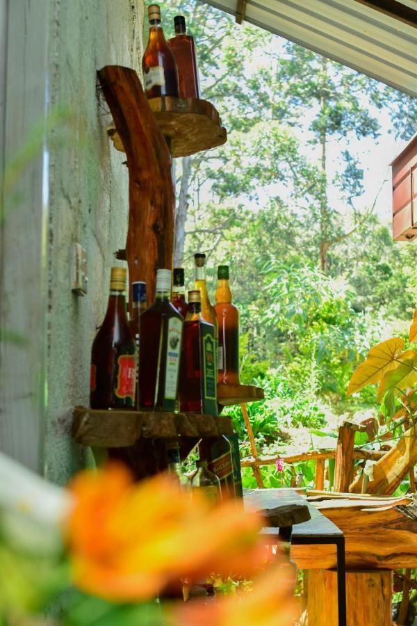 Ohiya Forest Lodge מראה חיצוני תמונה
