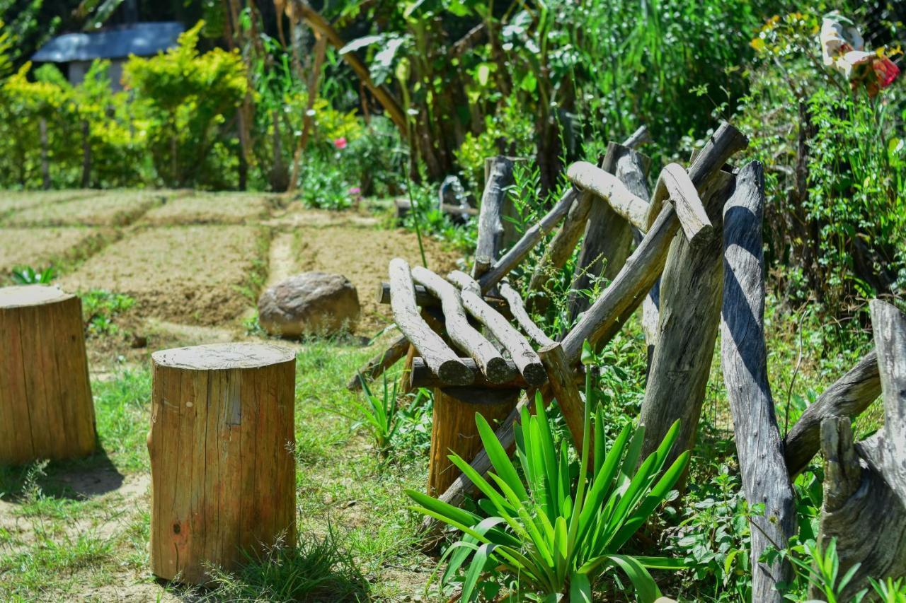 Ohiya Forest Lodge מראה חיצוני תמונה