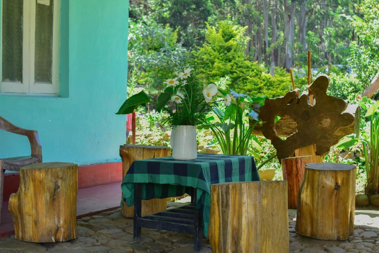 Ohiya Forest Lodge מראה חיצוני תמונה