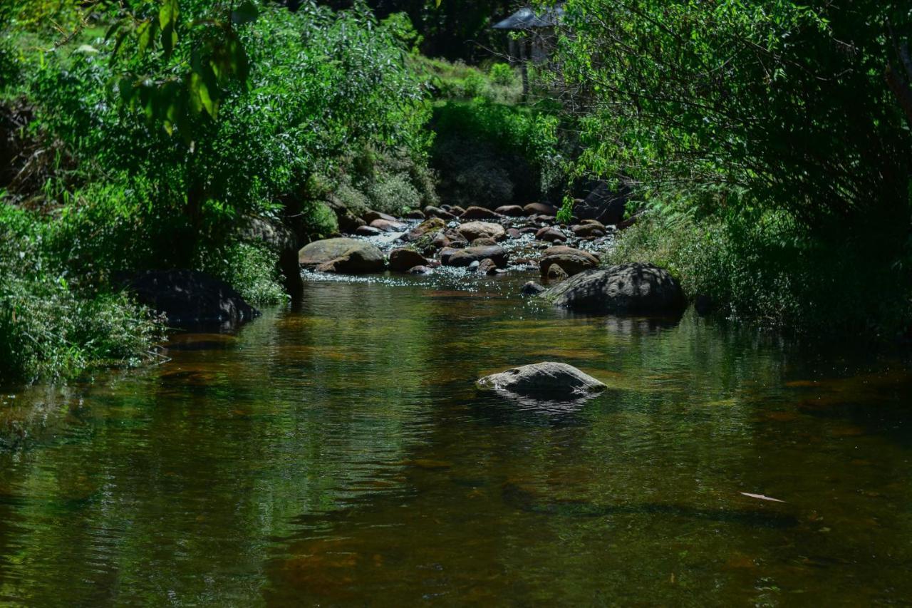 Ohiya Forest Lodge מראה חיצוני תמונה