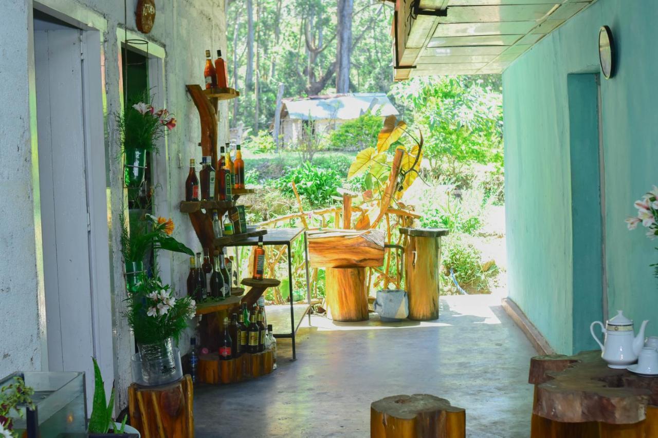 Ohiya Forest Lodge מראה חיצוני תמונה